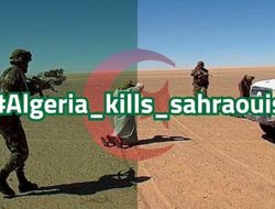 Again, New Deadly Shootings by the Algerian Army on Sahrawi Civilians