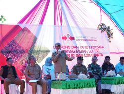 Bupati Konsel Hadiri Launching dan Panen Perdana Bawang Merah di Desa Jati Bali